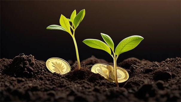 2026年刚下款的口子，精选5个高能分期贷款平台新秀