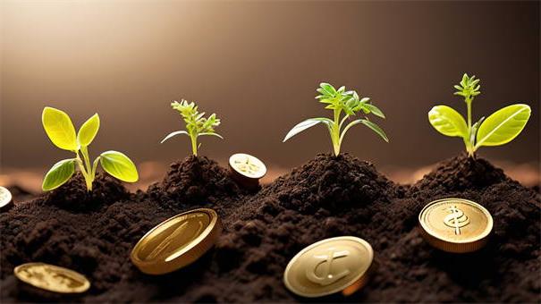 2026年天循环贷款，精选五个不看征信无视黑白百分百下款网贷平台