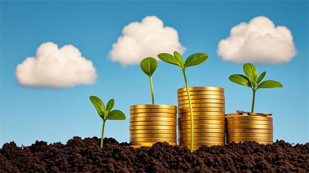 2026年低门槛贷款，深入剖析5个黑户成功获取大额贷款的平台