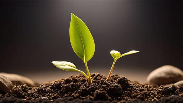 2026年男款家居服，整理5个逾期太多能下款平台