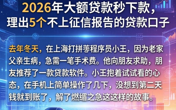 2026年大额贷款秒下款，理出5个不上征信报告的贷款口子